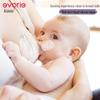 Evorie Liquid Silicone Wide-Neck Baby Nipple