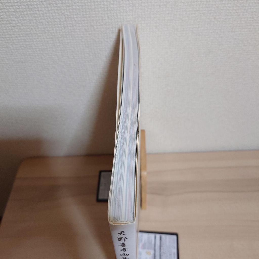 [USED] Beautiful Heaven: Yoshitaka Amano Art Collection