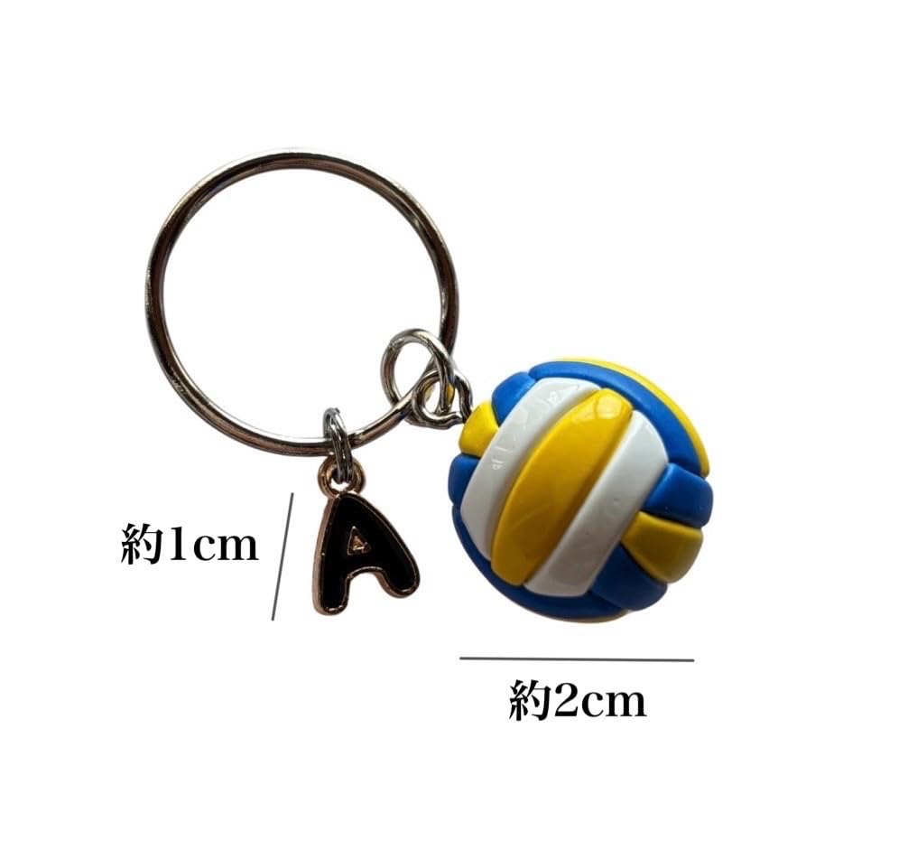 Volleyball Key Chain, Personalized Gift, Personalized Gift, Keepsake Gift, Matching Club, Team, O