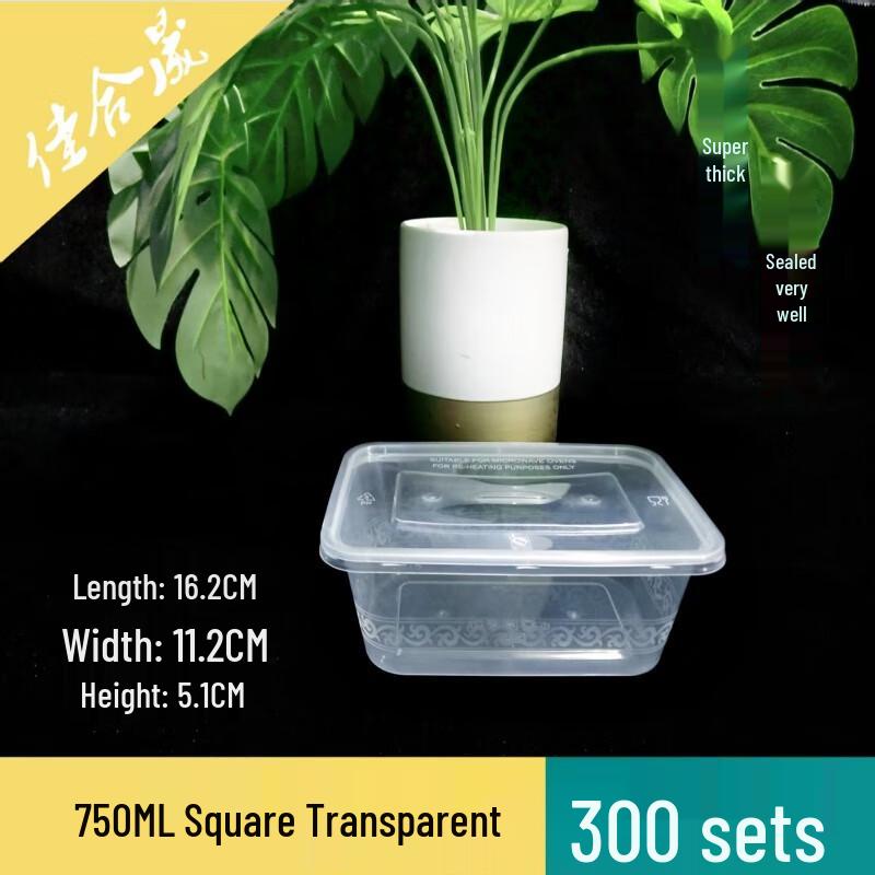 

Disposable Rectangular Food Containers with Lids