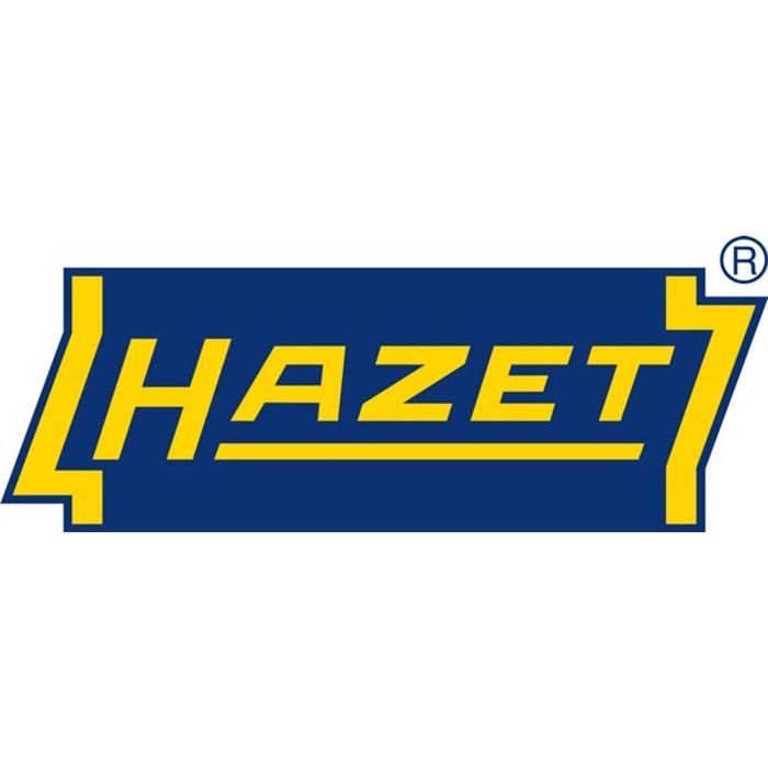 Hazet Vorpresssprüher - 199N-1