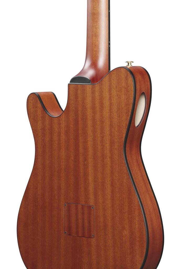 IBANEZ Nylonová akustická kytara pro elektrické hráče Zlatá metalická [Růžová plochá] FRH10N-RGF