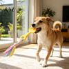 Indoor Outdoor Interactive Toys Pet Molar Teeth Cleaning Fork Toy, Durable Woven Rope Training Macaron for Dogs Colors TPR Chew Toy Gum Massage