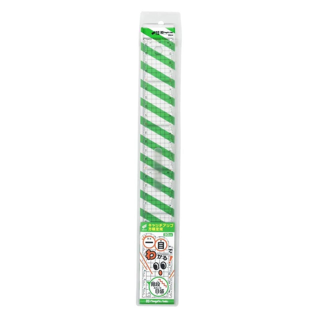Niigata Seiki SK Catch-up Graph Ruler Kaidan Scale 30cm CGS-30KD Clear