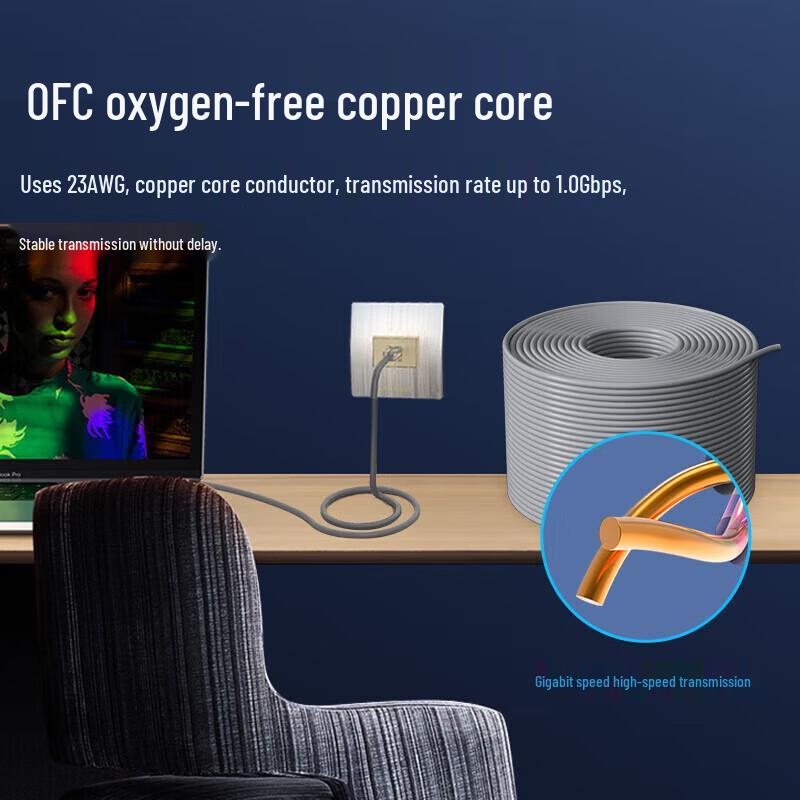 Datang Bodyguard DT2906E Cat6 Unshielded Ethernet Cable