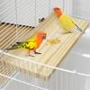 Parrot Bird Wood Perch Platform Large Stand Shelf for Birds.