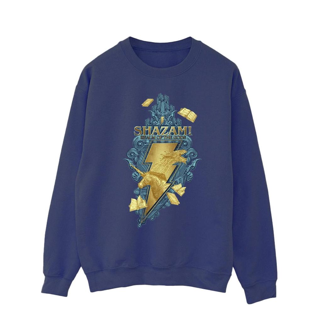 DC Comics Mens Shazam Fury Of The Gods Golden Animal Bolt Sweatshirt