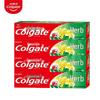 Herbal Toothpaste