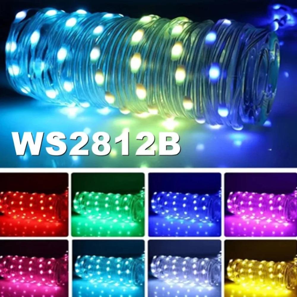 Outdoor Wasserdicht 5V USB WS2812B App-Steuerung Lichterkette Dreamcolor Party Festival Baumlichter Hochzeitsdekoration Girlande Lampe