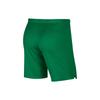 Nike Soccer Bottom Men's Pine Green/Opeet Yellow CI7631-302
