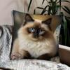 Decorative Throw Pillow Cover 45x45cm Soft Fabric Square Cushion Case with Cute Animal Print for Home Sofa Bedroom Living Room
