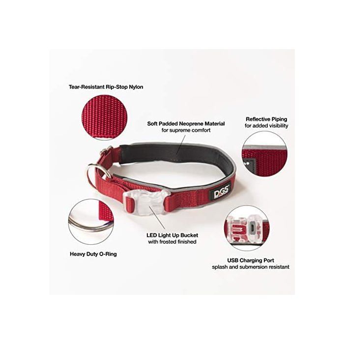 Collier lumineux à LED pour chien - Dog Gone Smart - Rechargeable - Rouge - Taille L - 45,7 à 63,5 cm - Nylon résistant