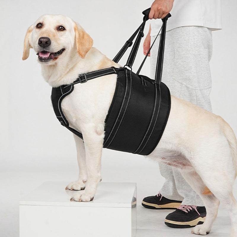 Dog Support Wrap for Senior Dogs with Sliding Fit Controls, Soft-Lined Chest Panel, and Two Handles for Guided Short Walks