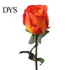 Rose Flower Decor Simulation Vibrant Color Thicker Petals Non-Withering Realistic Looking Bent Freely Decorative Artificial Plant Fine Texture Single