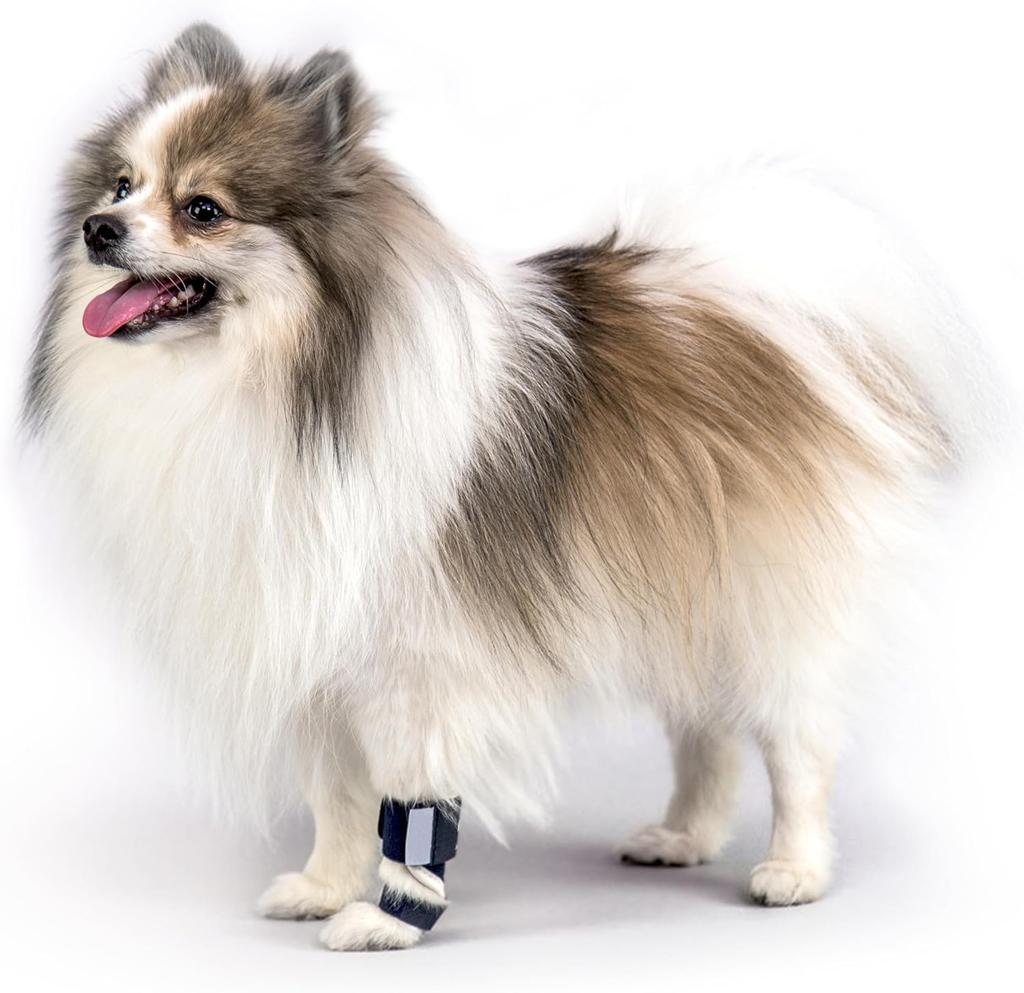 Veterinarian Approved Dog Ankle Carpal Support Brace Lightweight Aluminum Splint Anti-Limp Compression Neoprene Leg Wrap For Small Medium Large Dogs