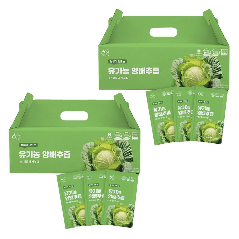 Hwanggeum's Farmer's Cabbage Juice 100ml 30 pouches 3L 2 pcs