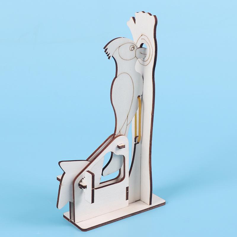 Woodpecker STEM DIY Science Kits: Creative Educational Toys and Teaching Aids for Kids
