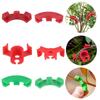 Plant Bending Trainer Low Pressure Branches Sprigs Tomato Plant Clips Pepper Clips Branch Accessories Plant Stands