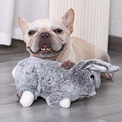 Perros – Juguetes para perros