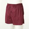 Venus 100  Cotton Geometric Print Magic Mesh Trunk Vmp1978m