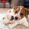 Heartbeat Puppy Toy,Puppy Separation Anxiety Toy, Puppy Behavioral Training Aid for Dog Sleep Aid Plush, Pet Companion Smart Dog Toys,Beige