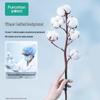 PurCotton Nice Princess All-Cotton Day & Night Sanitary Pads