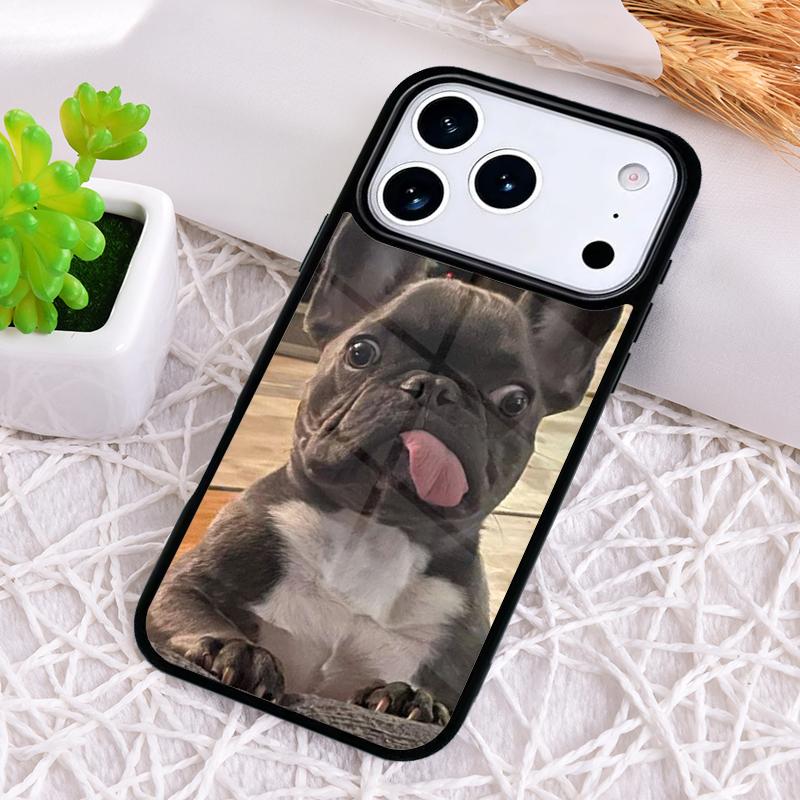 Französische Bulldogge Handyhülle für iPhone 17 Air 16 15 11 12 14 13 Pro Max Stoßfeste Hülle