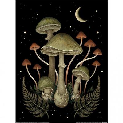 Episodic Drawing Death Cap Print
