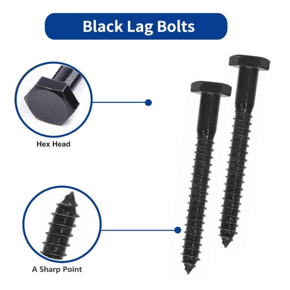 155pcs/box Black Finish 304 Stainless Steel Wood Screws High-Quality Material Clear Plastic Box Self-Tapping Screws Flat Washers