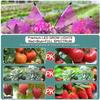Dimmable LED Plant Grow Light USB Full Spectrum Clip Phytolamp 5V Growth Lamp for Indoor Greenhouse Flower Seedling Potted Plant