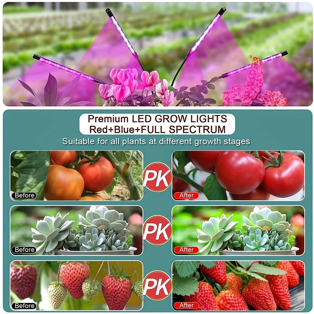 Dimmable LED Plant Grow Light USB Full Spectrum Clip Phytolamp 5V Growth Lamp for Indoor Greenhouse Flower Seedling Potted Plant