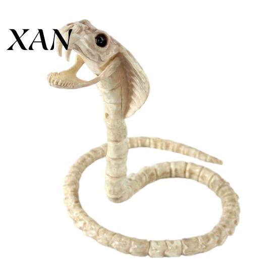 Durable Halloween Skeleton Decor Animal Skeleton, Realistic Fish Bird Spider Snake Cat Creepy Party Props Model for Party, Haunted House, Graveyard