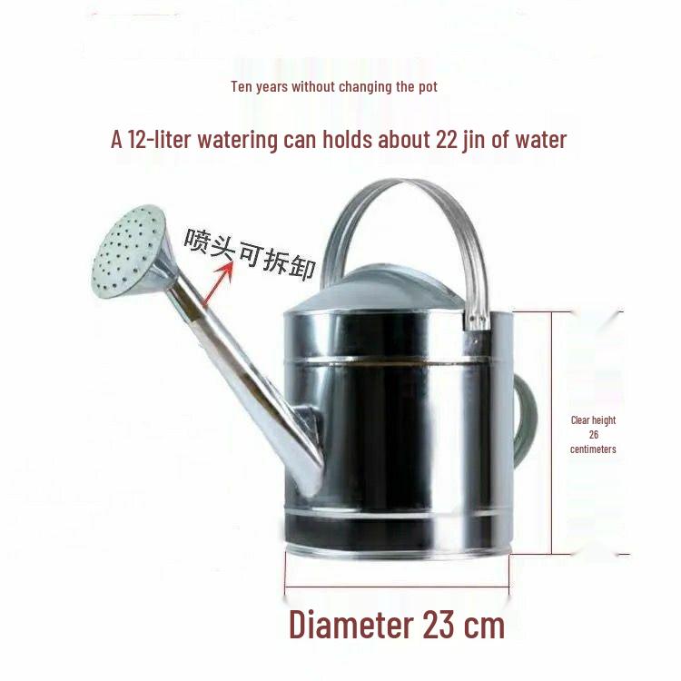 Stainless Steel Large Capacity Watering Can with Movable Handle and Sprayer