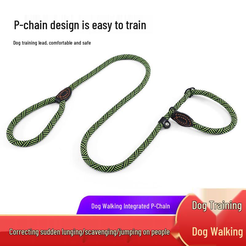 Anti-Bite 5m Iron Chain Dog Leash & Collar Set