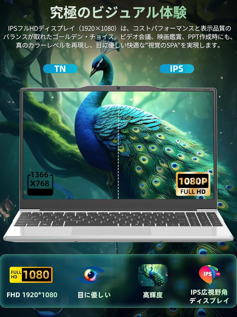 Fsjun Office 2024 Windows 11 IPS Slim with Numeric Intel Celeron N5095 8GB 256GB PCIe 5G Mini HD USB Ideal for Online and Video Silver & Laptop,