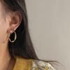 Retro Geometric 925 Silver Needle Metal Pattern Irregular Earrings - Exaggerated Cold Style