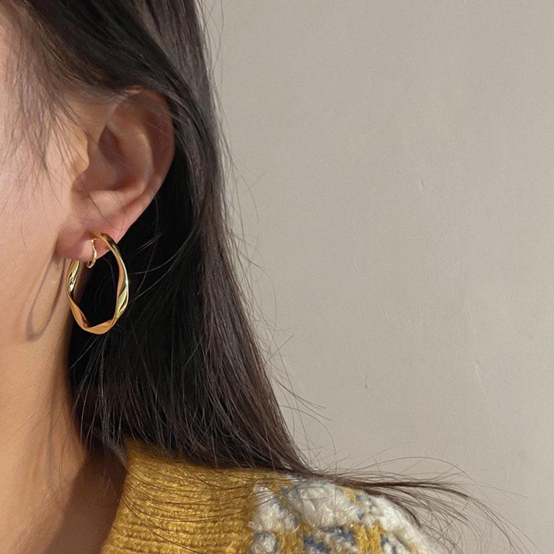 Retro Geometric 925 Silver Needle Metal Pattern Irregular Earrings - Exaggerated Cold Style
