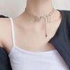Titanium Steel Butterfly Clavicle Necklace: Hip Hop Luxury Style, Women's Niche Design, Simple Cool Accessory