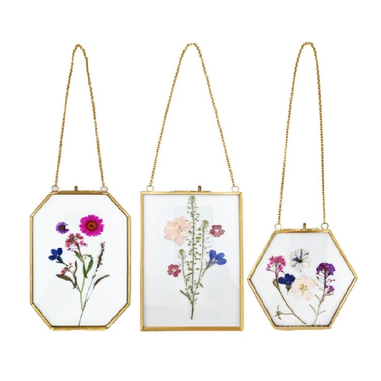 Doppelglas-Blumenpressen-Rahmen Hängender Doppelglasrahmen Goldene schwebende Fotorahmen mit Kette für Galerie-Kunstwerke