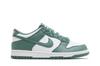 Nike Dunk Low Bicoastal (GS)