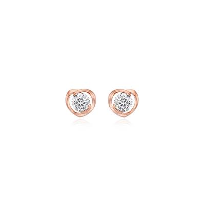 Silver Earrings Sc24A20T