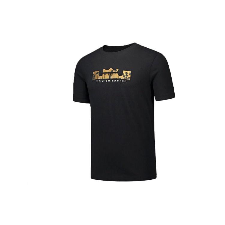Men s Nike Dri-fit Lebron Casual Sports Basketball Short Sleeve T-Shirt DB6179-011 M