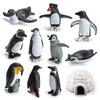 Arctic Animal Pvc Collection With Realistic Marine Land Creatures For Educational Use