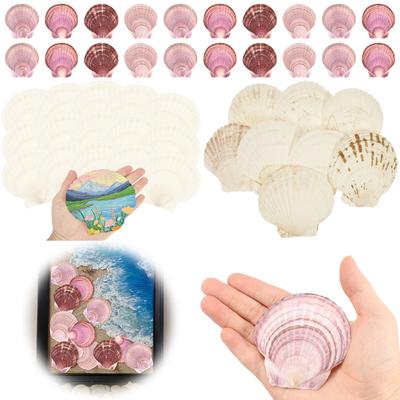 Naturalne Muszle Przegrzebków Muszle na Ozdobę Biurka Ręcznie Robione Rzemiosło DIY Impreza z Motywem Oceanu, Malowanie i Dekoracje Ślubne