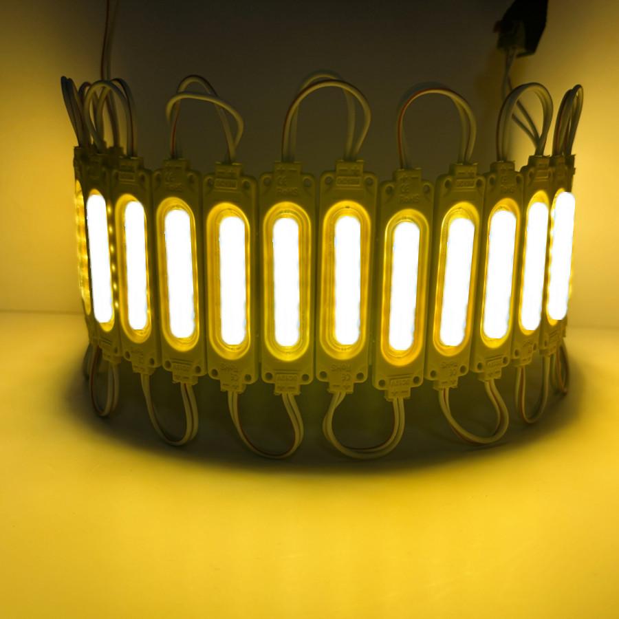 20 Pezzi/lotto 12V Moduli LED Multicolore Luce COB per Retroilluminazione Banner Negozio Impermeabile IP65 Decorazioni Natalizie Bianco Caldo Blu
