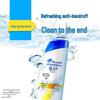 Head & Shoulders Shampoo & Colgate Toothpaste Bundle