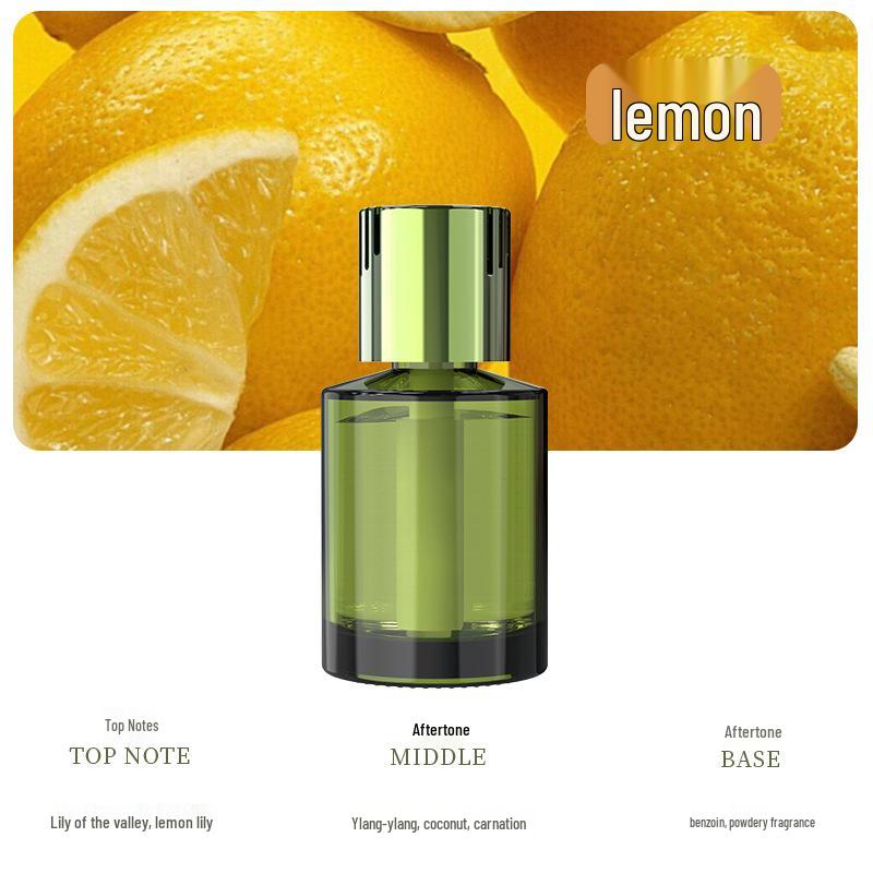 

Долговечный освежитель воздуха для автомобиля и устранитель запахов для спальни и отеля Single Unit