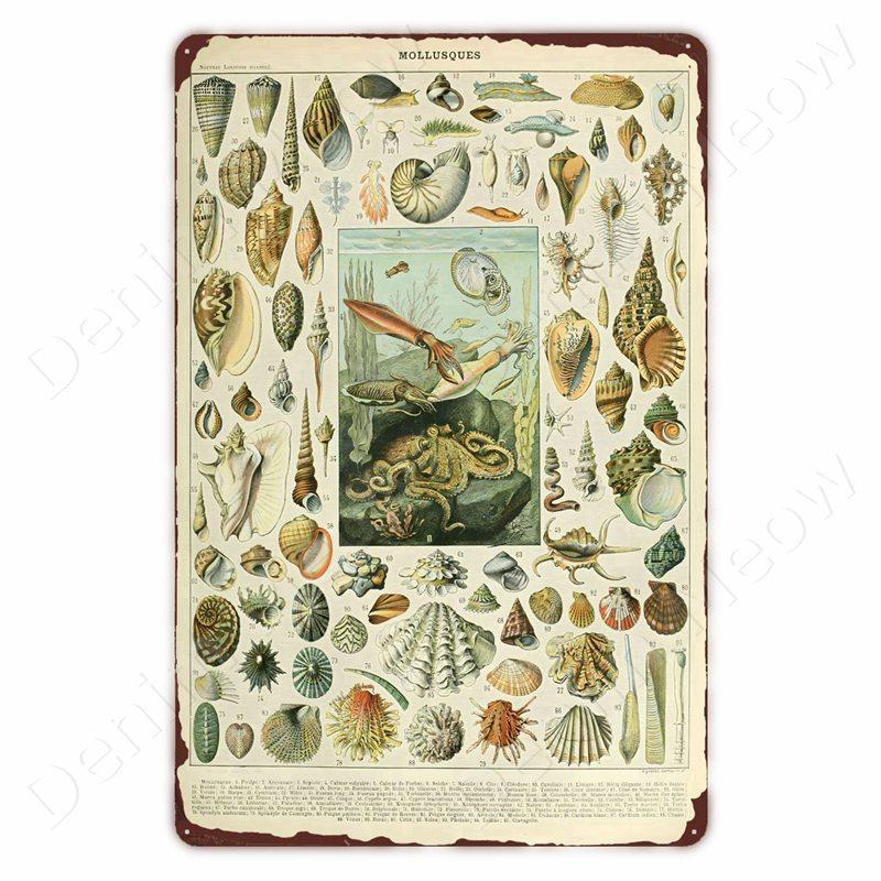 Starověcí Znamení Vintage Kovové Znamení Fosilní Nástěnné Umění Plakát Savci Ryby Znamení pro Domov Třída Dekor Hmyz Plechové Znamení