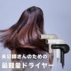 Tescom Nobby Negative Ion Hair Dryer NB2100 1200W Hair Dryer Nobby Professional NB2504 NB1501 Successor (White)