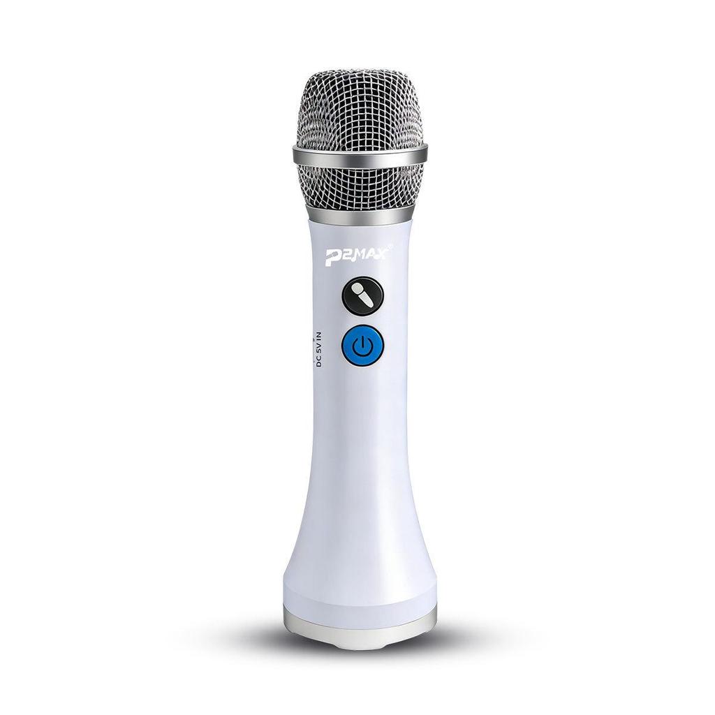 Wireless Noise Reduction Microphone for Home Karaoke and Live Streaming